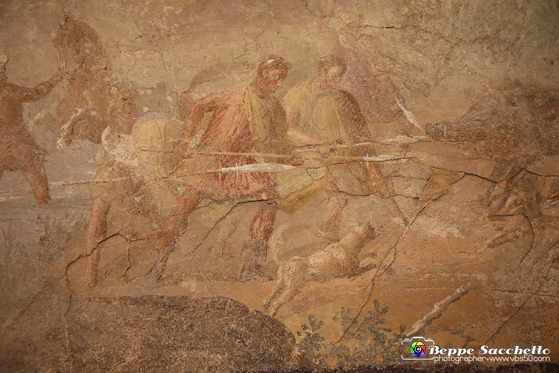 VBS_8998 - Mostra Invito a Pompei.jpg